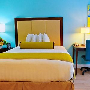 Classic King Room