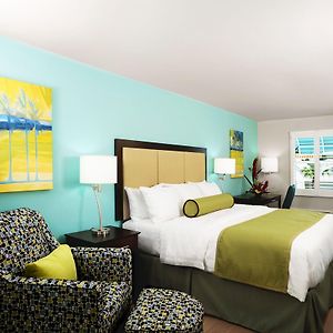 Classic  King Room Mobility accessible